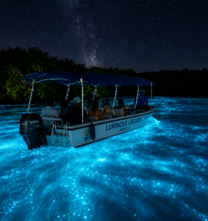 Luminous Lagoon