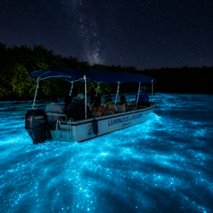 Luminous Lagoon