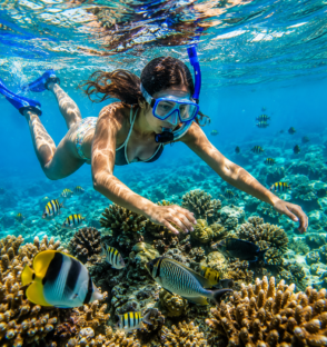 Snorkelling